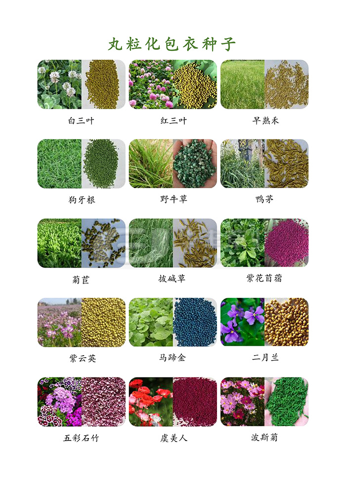 种子丸；庸