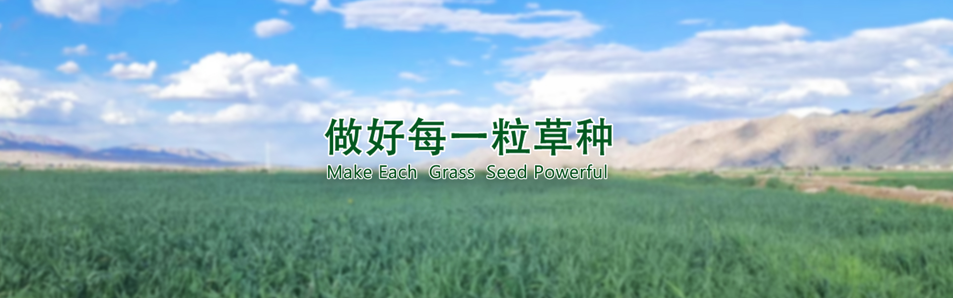 首页| 918博天堂集团中国官方网站