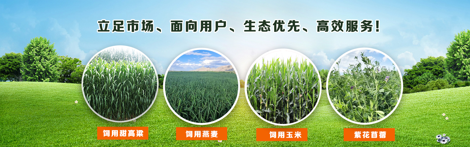 首页| 918博天堂集团中国官方网站