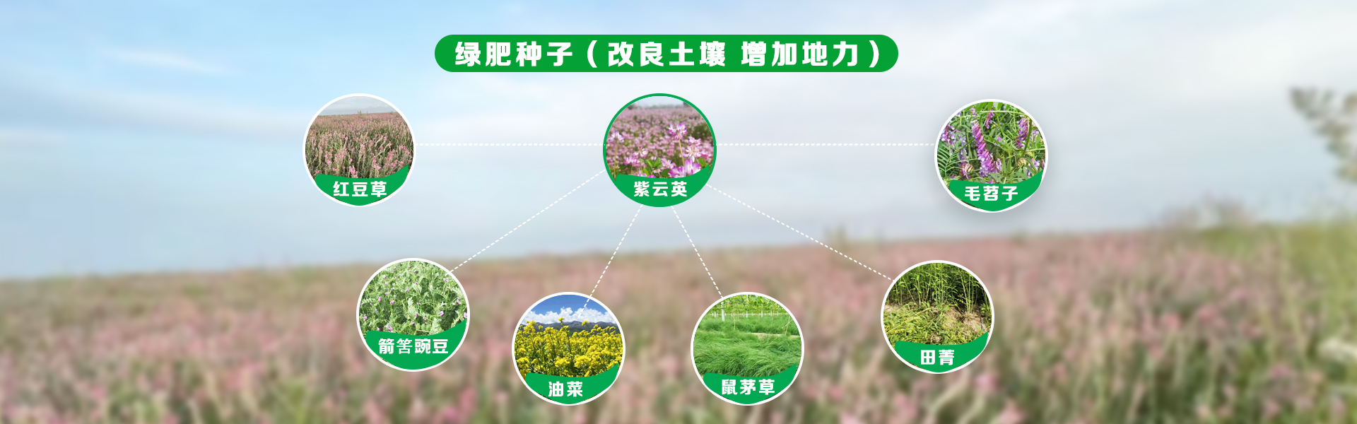 首页| 918博天堂集团中国官方网站