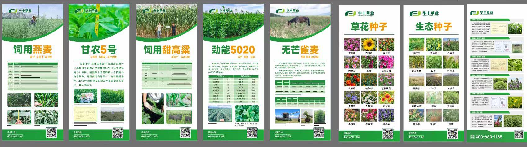 未标题-1(1).jpg